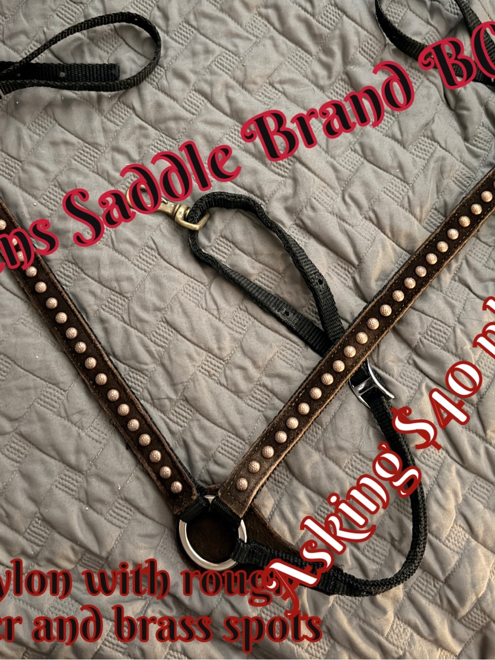 Seven Saddlery Breast Collar Nylon with leather overlay and brass spots